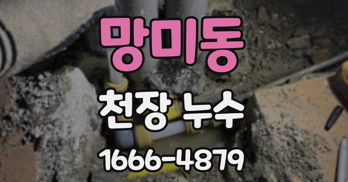 망미동 천장 누수