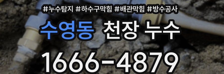 수영동 천장 누수
