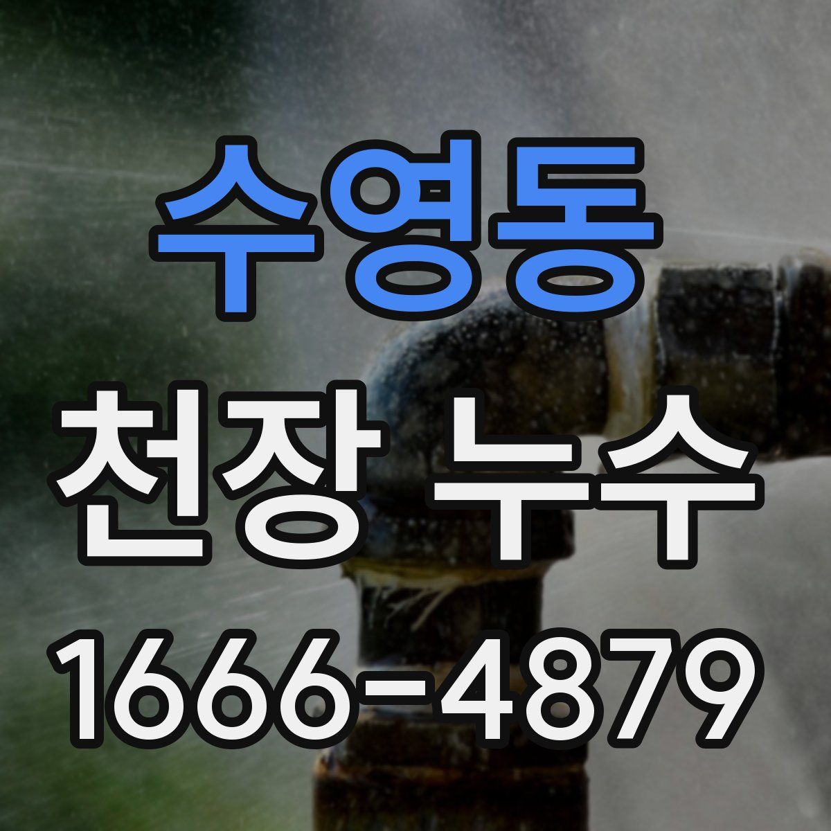 수영동 천장 누수