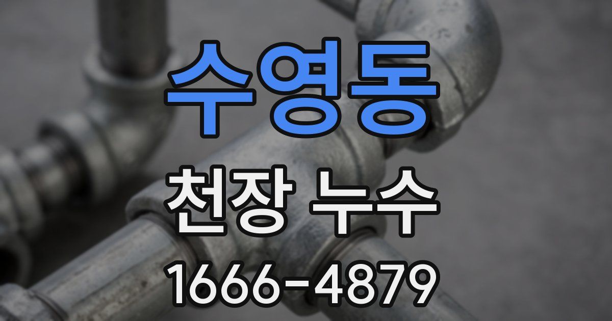 수영동 천장 누수