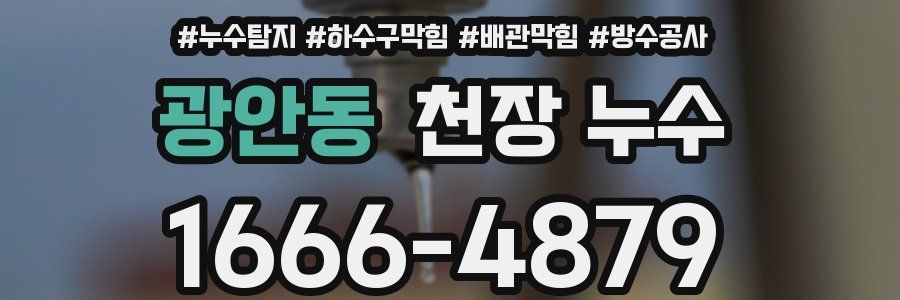 광안동 천장 누수