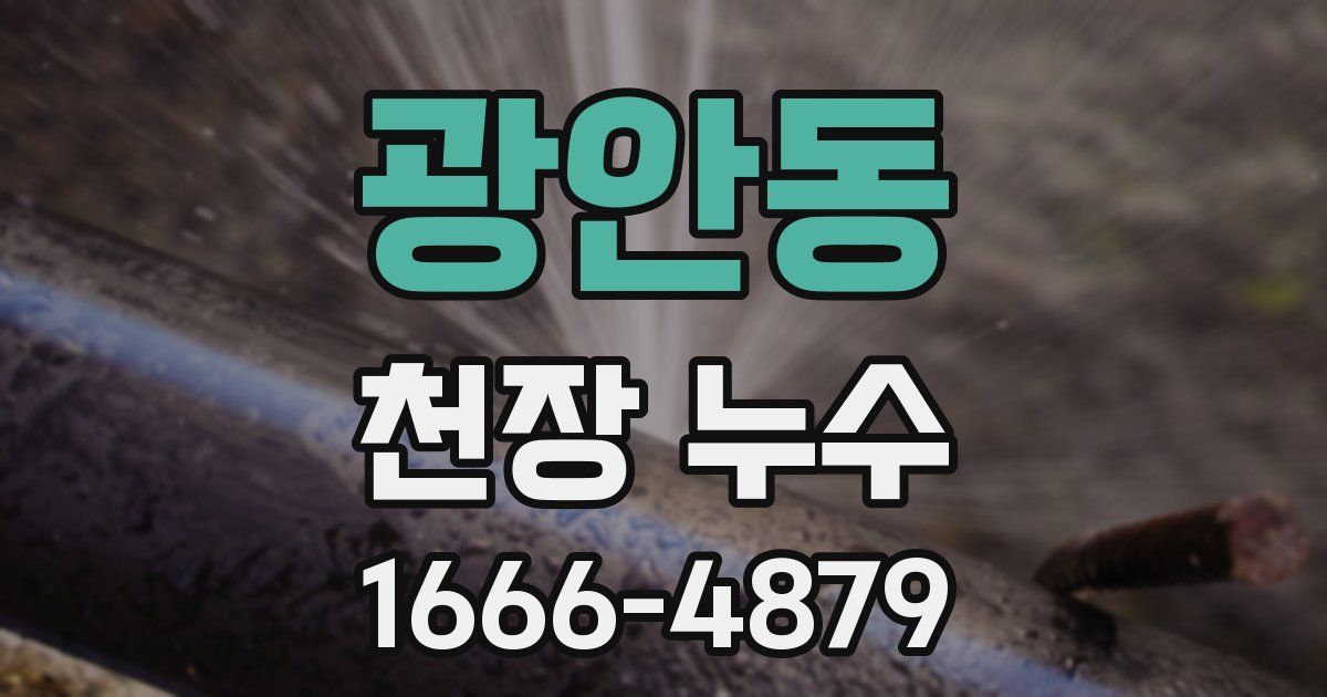 광안동 천장 누수