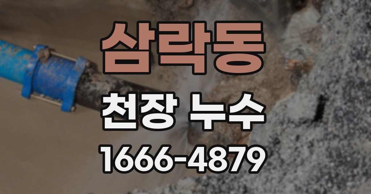 삼락동 천장 누수