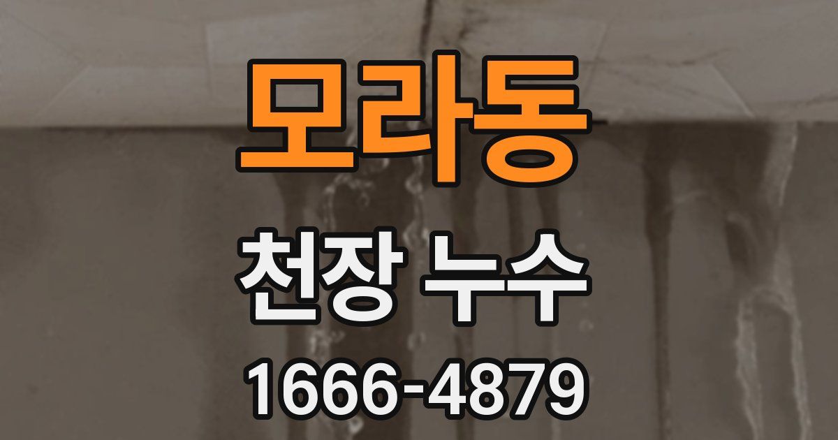 모라동 천장 누수