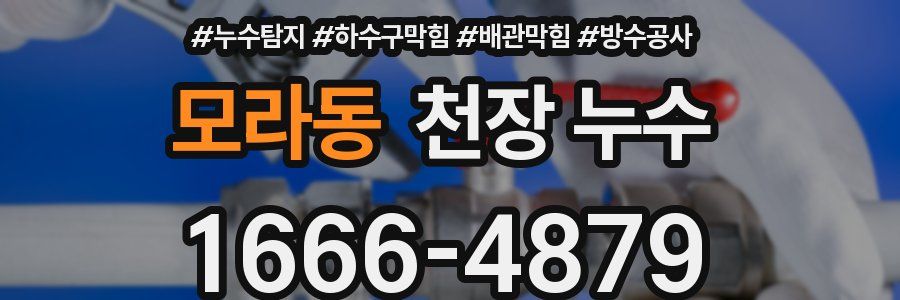 모라동 천장 누수