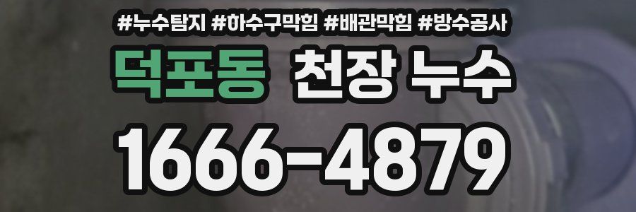 덕포동 천장 누수