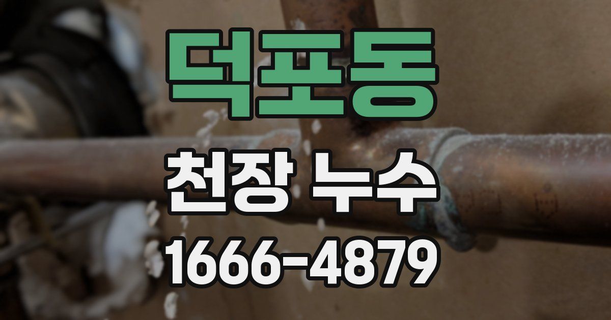 덕포동 천장 누수