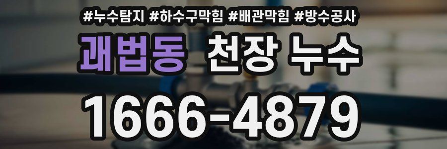 괘법동 천장 누수