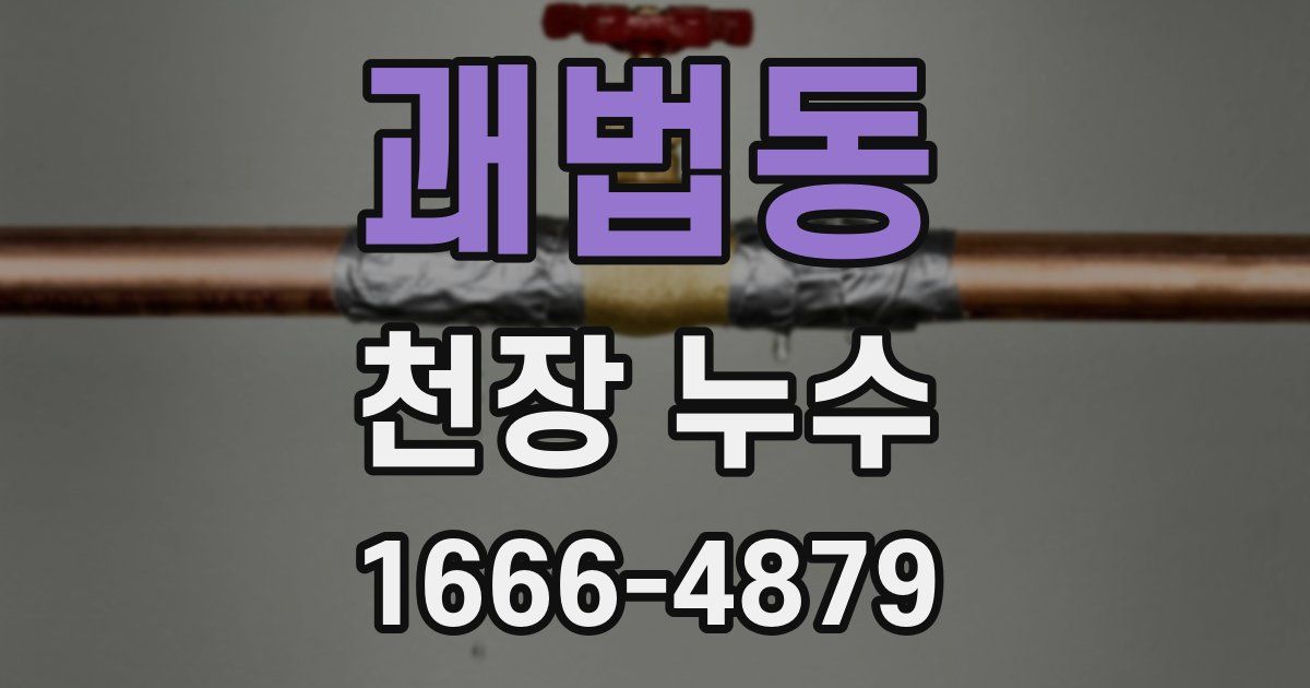 괘법동 천장 누수