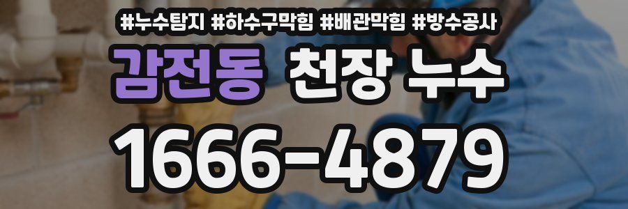감전동 천장 누수