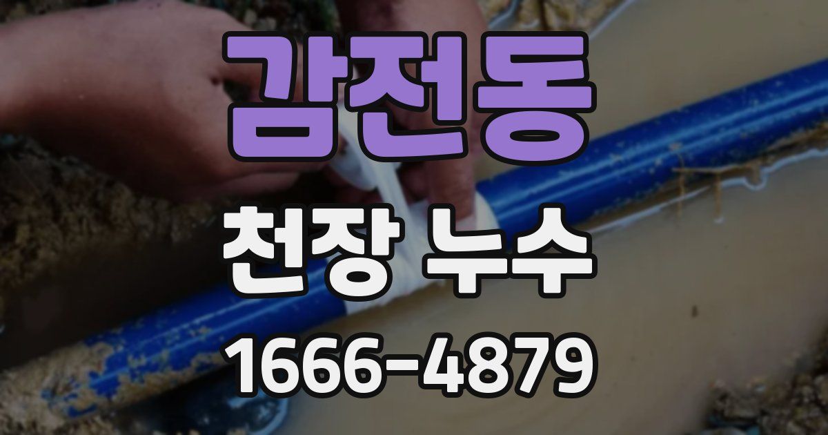 감전동 천장 누수