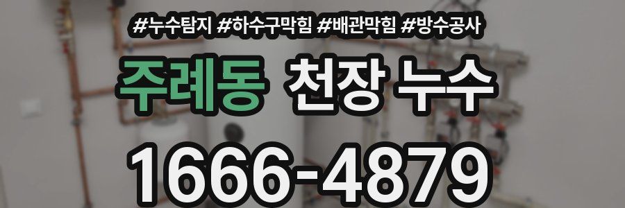 주례동 천장 누수
