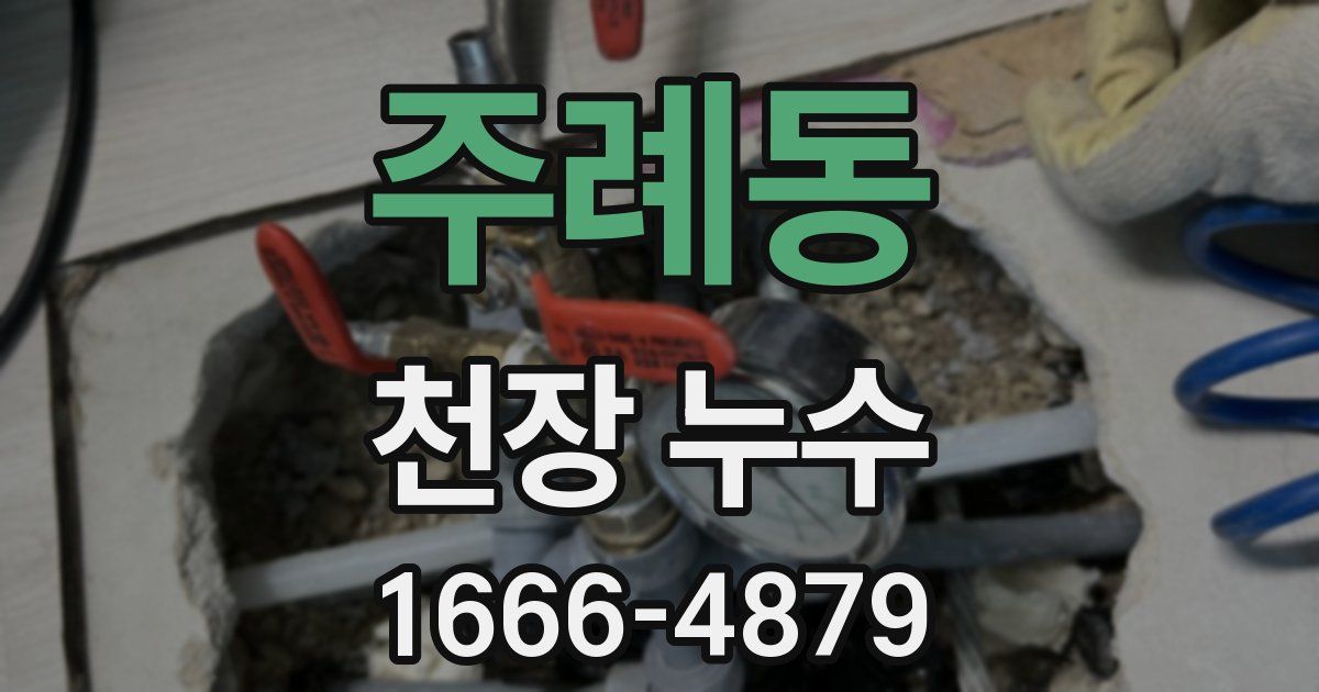 주례동 천장 누수
