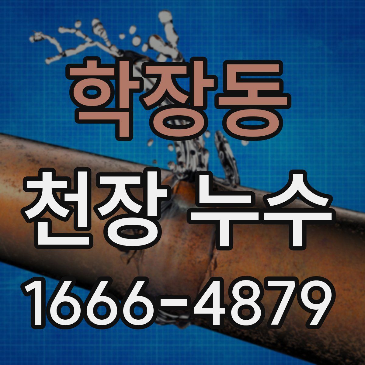 학장동 천장 누수
