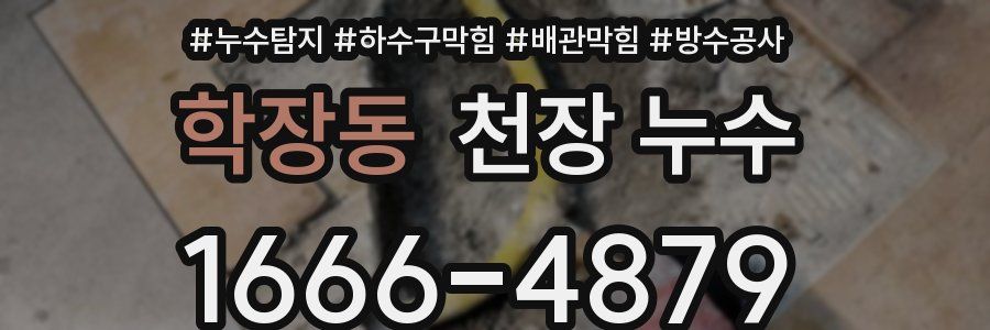 학장동 천장 누수