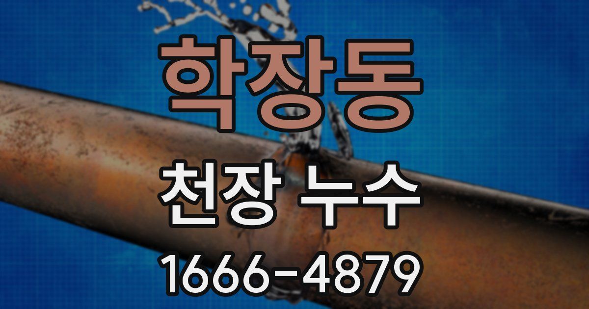 학장동 천장 누수