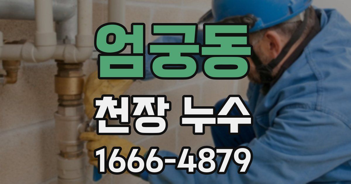 엄궁동 천장 누수