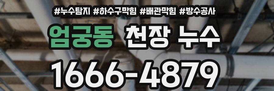 엄궁동 천장 누수