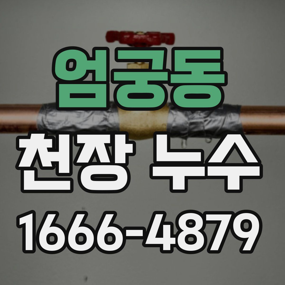 엄궁동 천장 누수