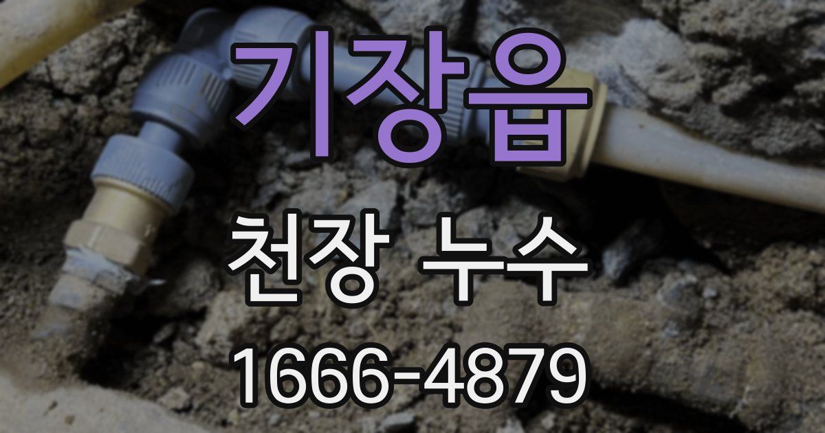 기장읍 천장 누수