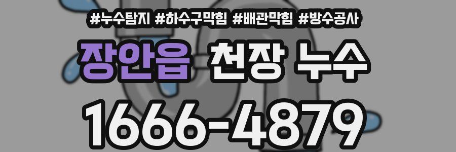 장안읍 천장 누수