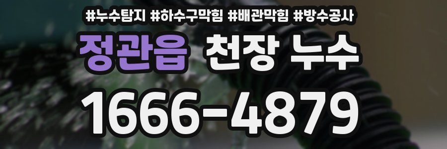정관읍 천장 누수