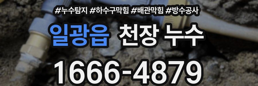 일광읍 천장 누수