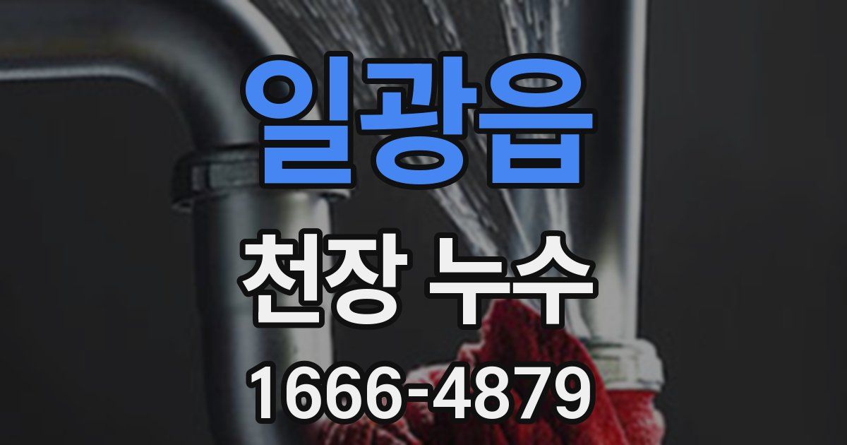 일광읍 천장 누수