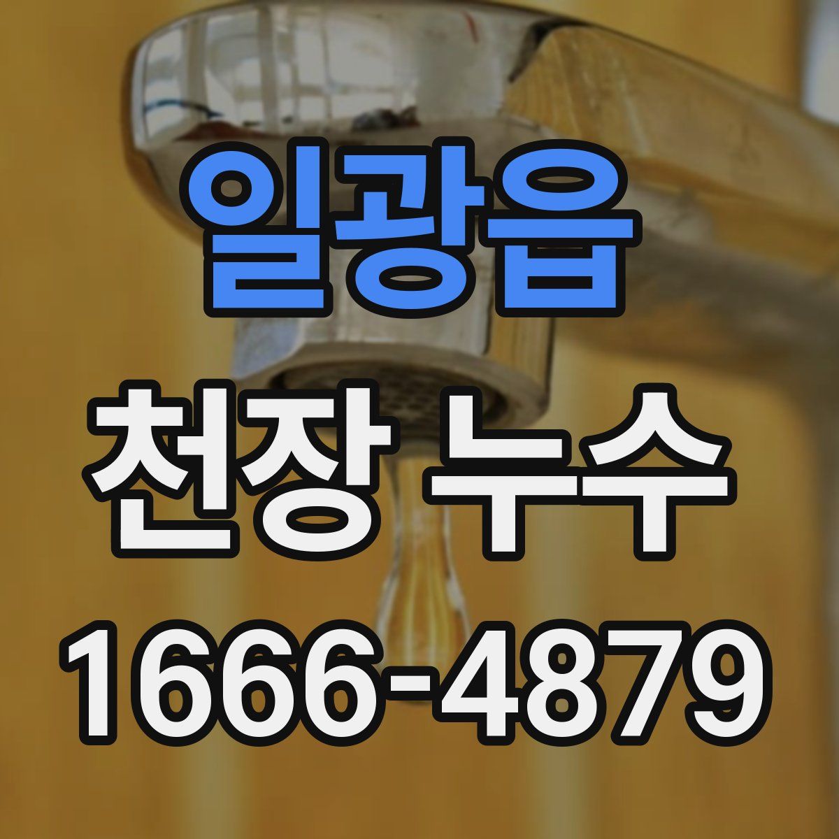 일광읍 천장 누수