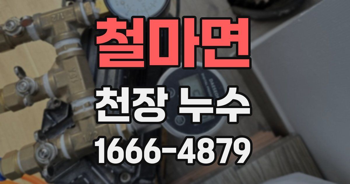 철마면 천장 누수