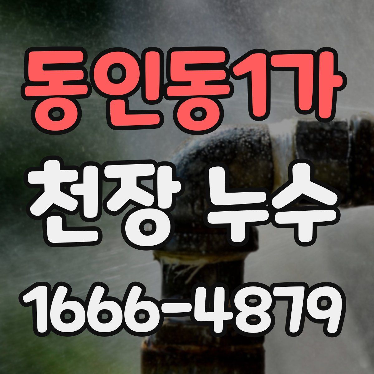 동인동1가 천장 누수