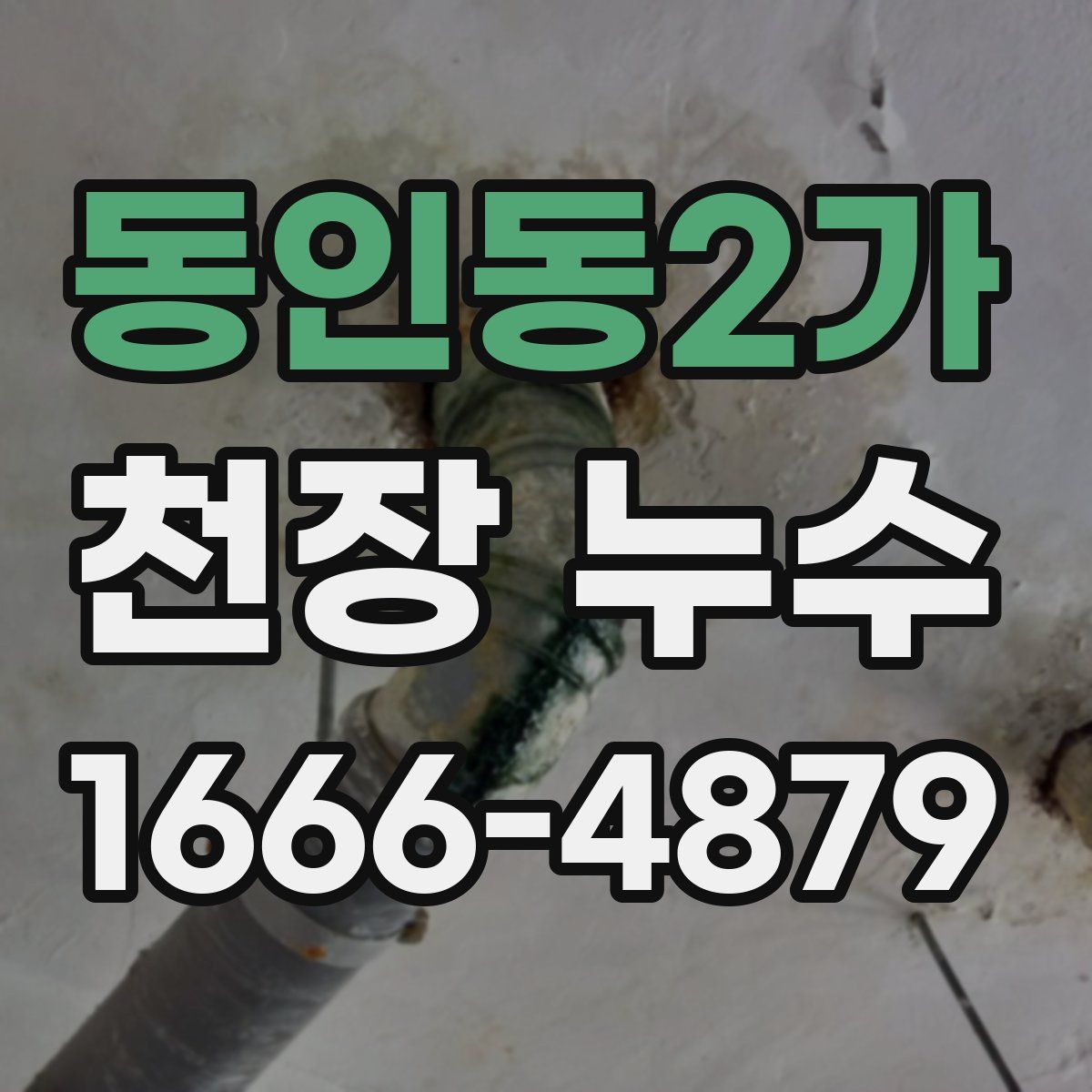 동인동2가 천장 누수