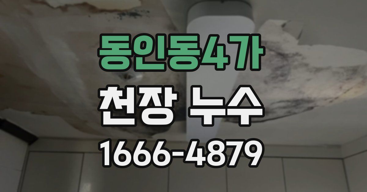 동인동4가 천장 누수