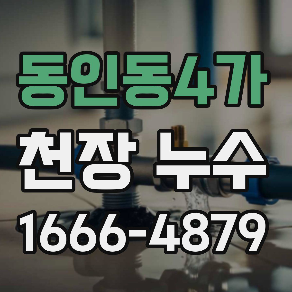 동인동4가 천장 누수