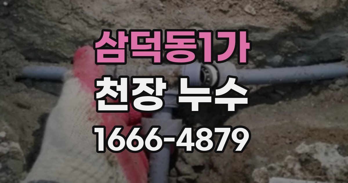 삼덕동1가 천장 누수