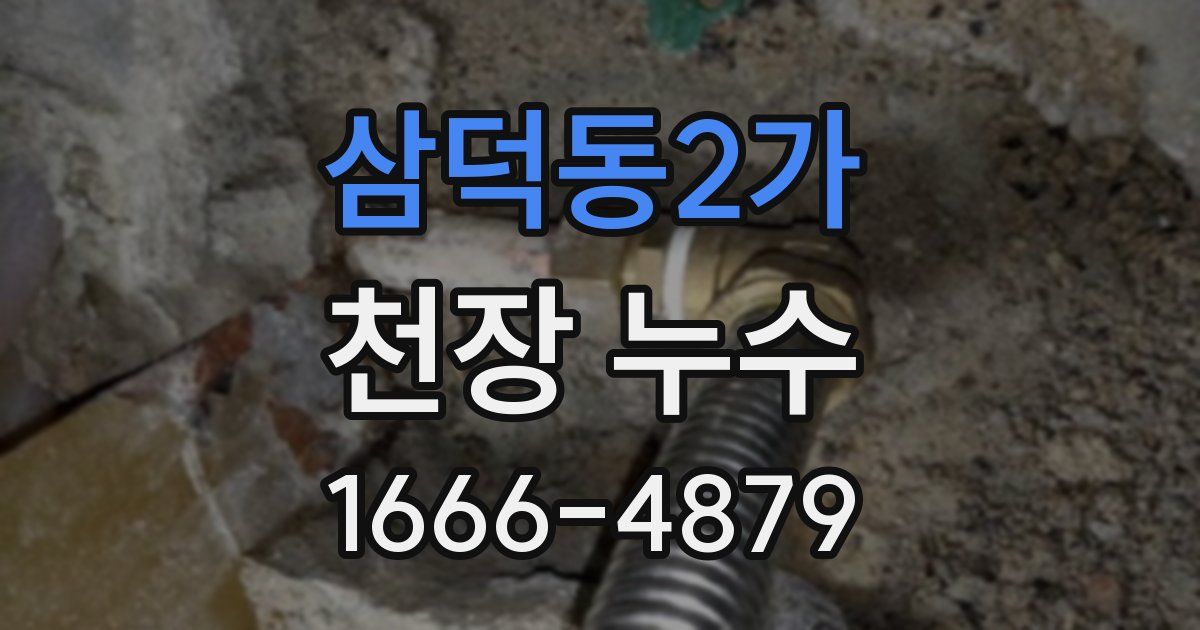 삼덕동2가 천장 누수