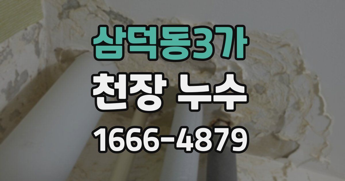 삼덕동3가 천장 누수