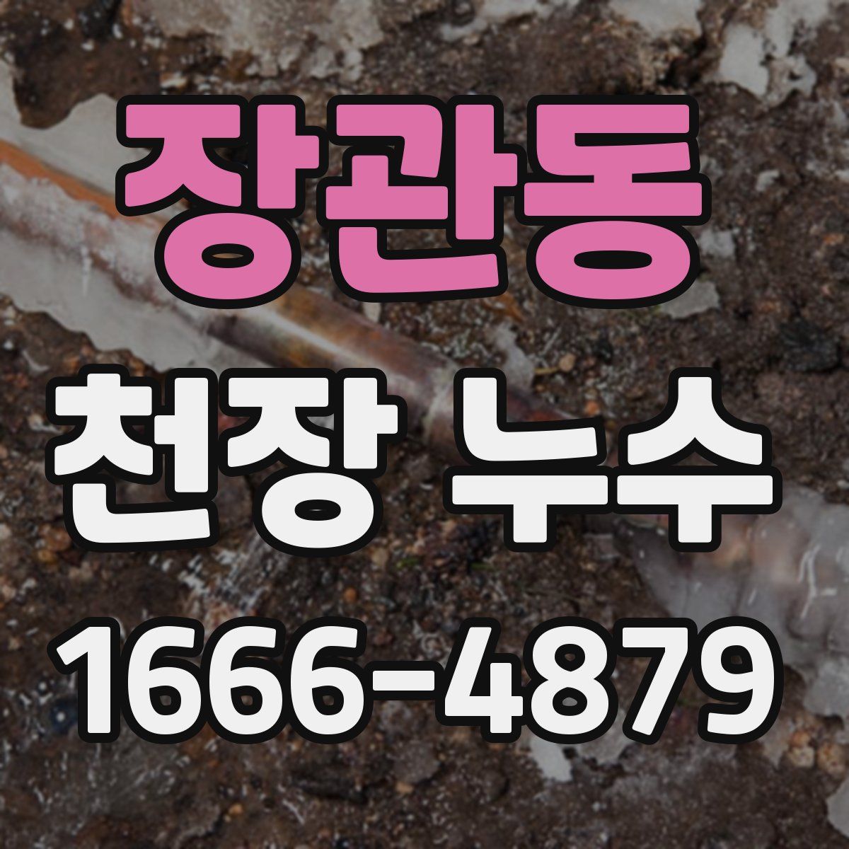 장관동 천장 누수