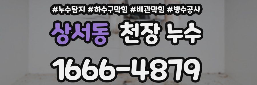 상서동 천장 누수