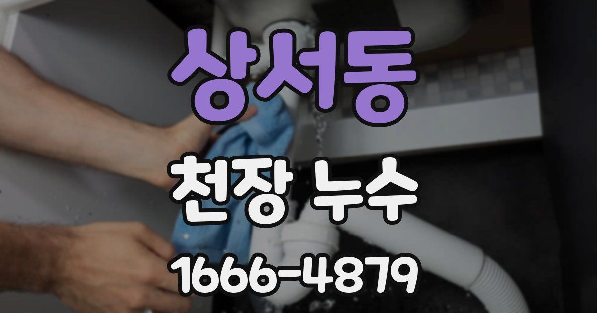 상서동 천장 누수
