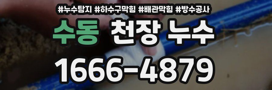 수동 천장 누수