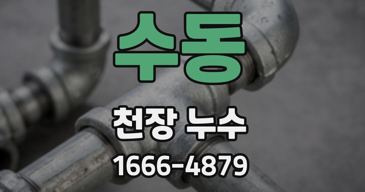 수동 천장 누수
