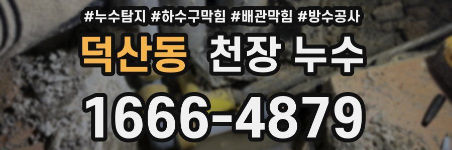 덕산동 천장 누수