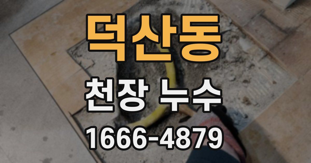 덕산동 천장 누수