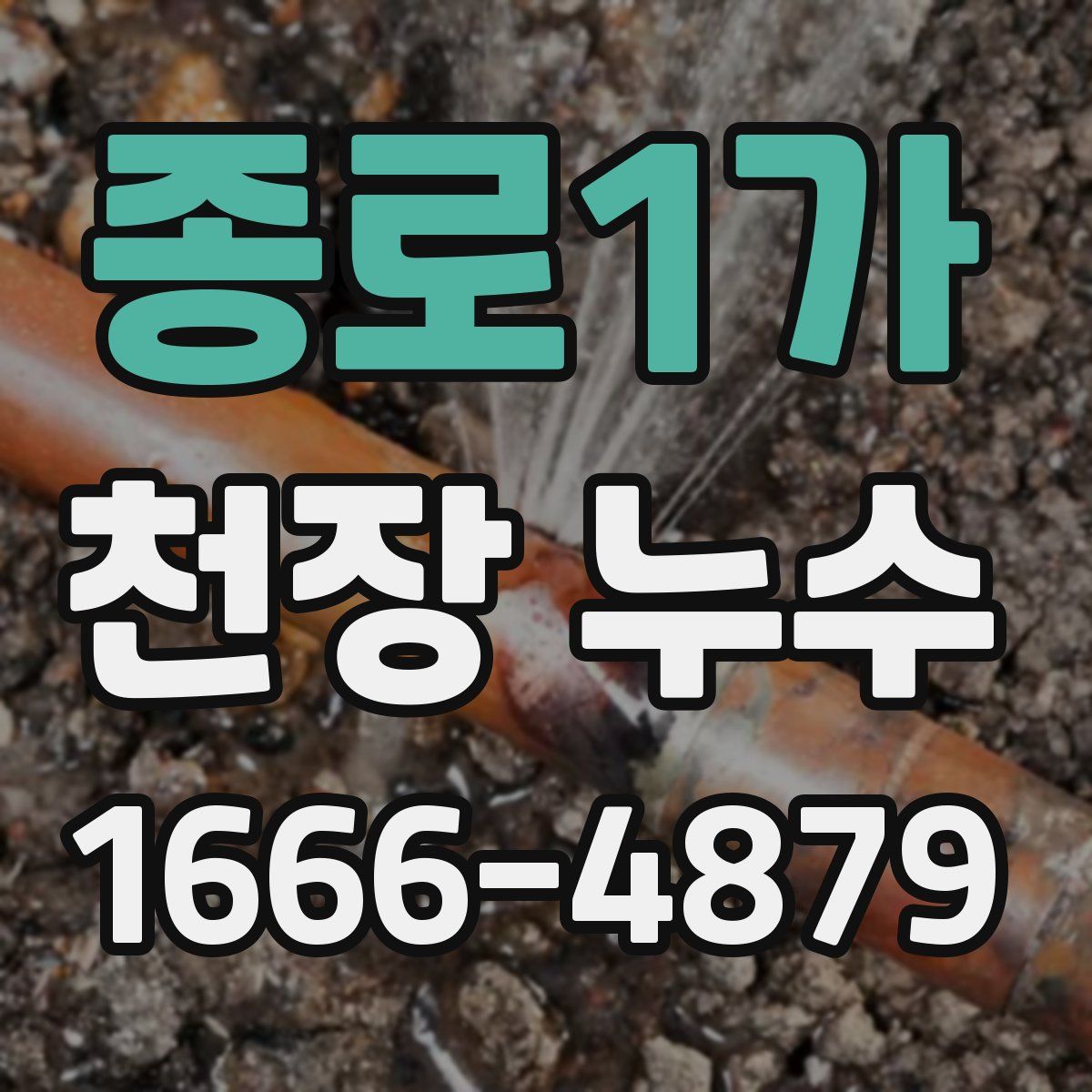 종로1가 천장 누수