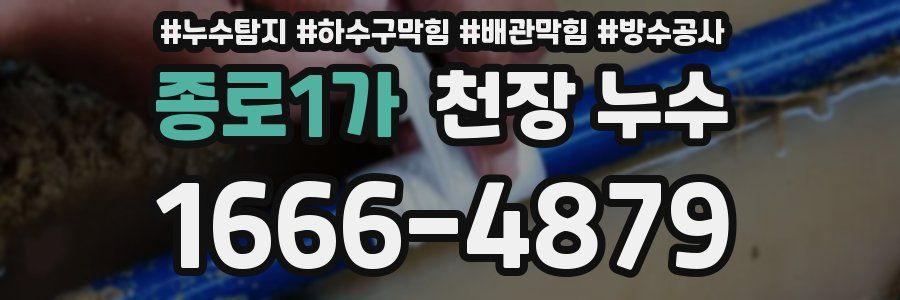 종로1가 천장 누수