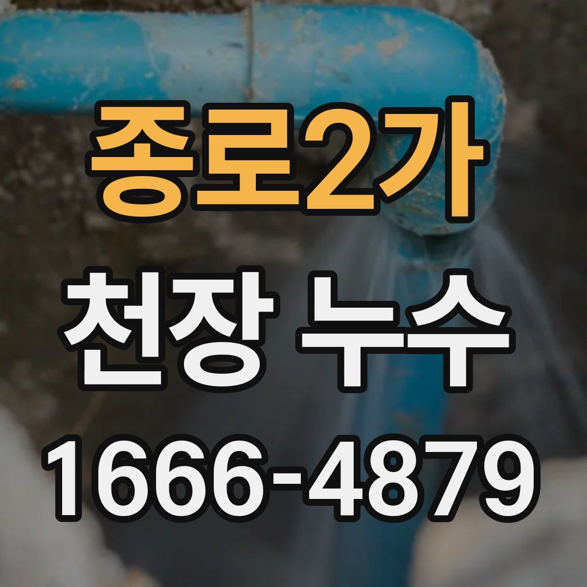 종로2가 천장 누수