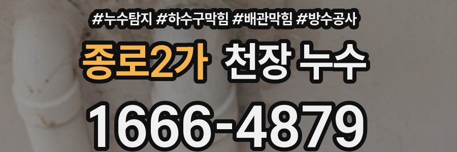 종로2가 천장 누수