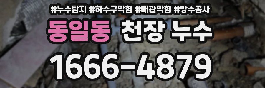 동일동 천장 누수