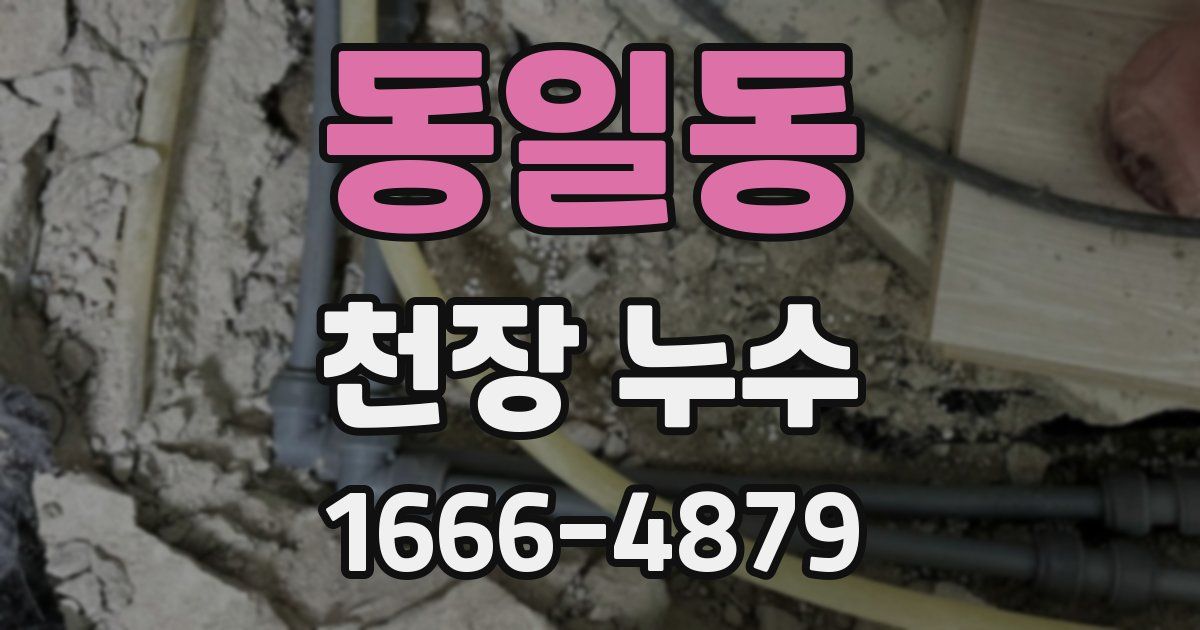 동일동 천장 누수